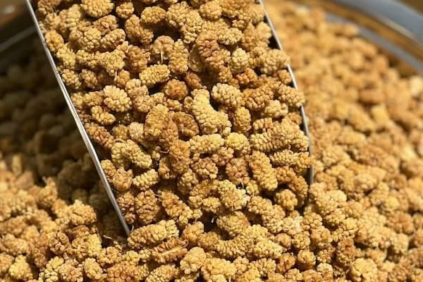 توت خشک سبز + قیمت خرید، کاربرد، مصارف و خواص